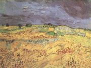 Vincent Van Gogh The Fields (nn04) Spain oil painting reproduction